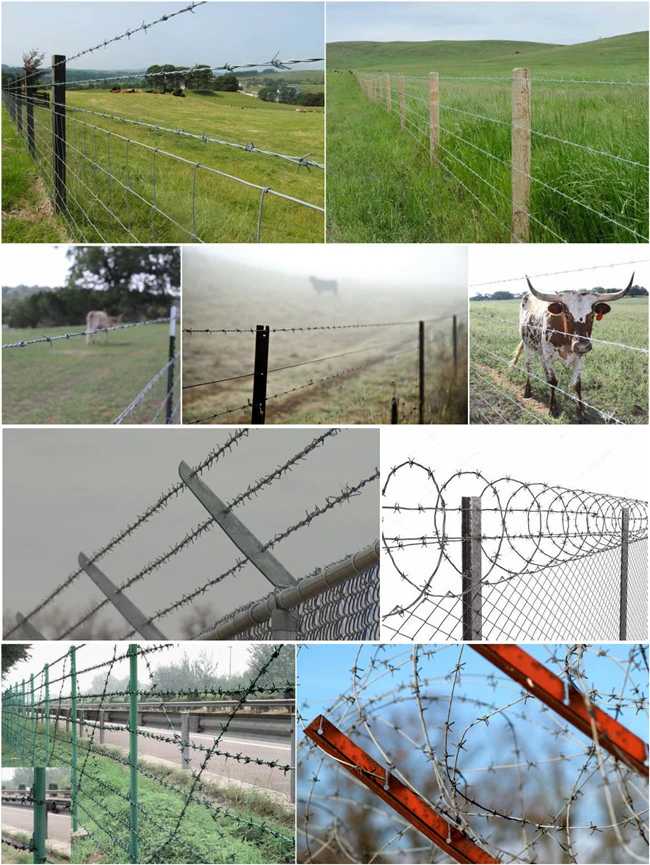 Top Barbed Wire Solutions for Effective Security