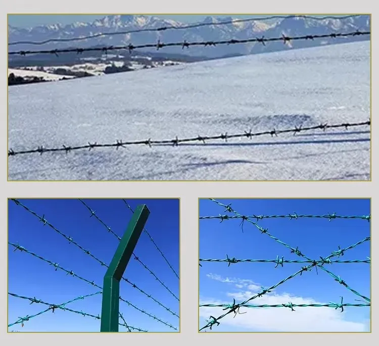 Enhance Security with High-Quality Barbed Wire