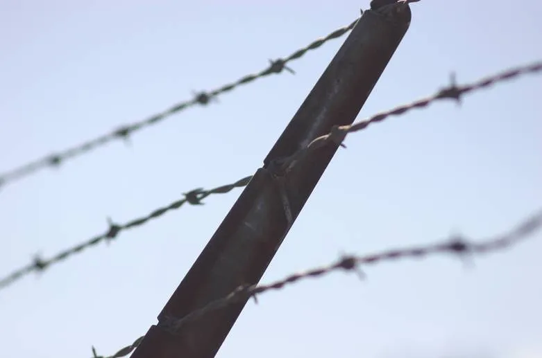 Reliable Barbed Wire Solutions