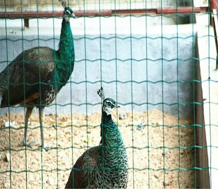 Reliable Steel Wire Mesh Fencing Solutions