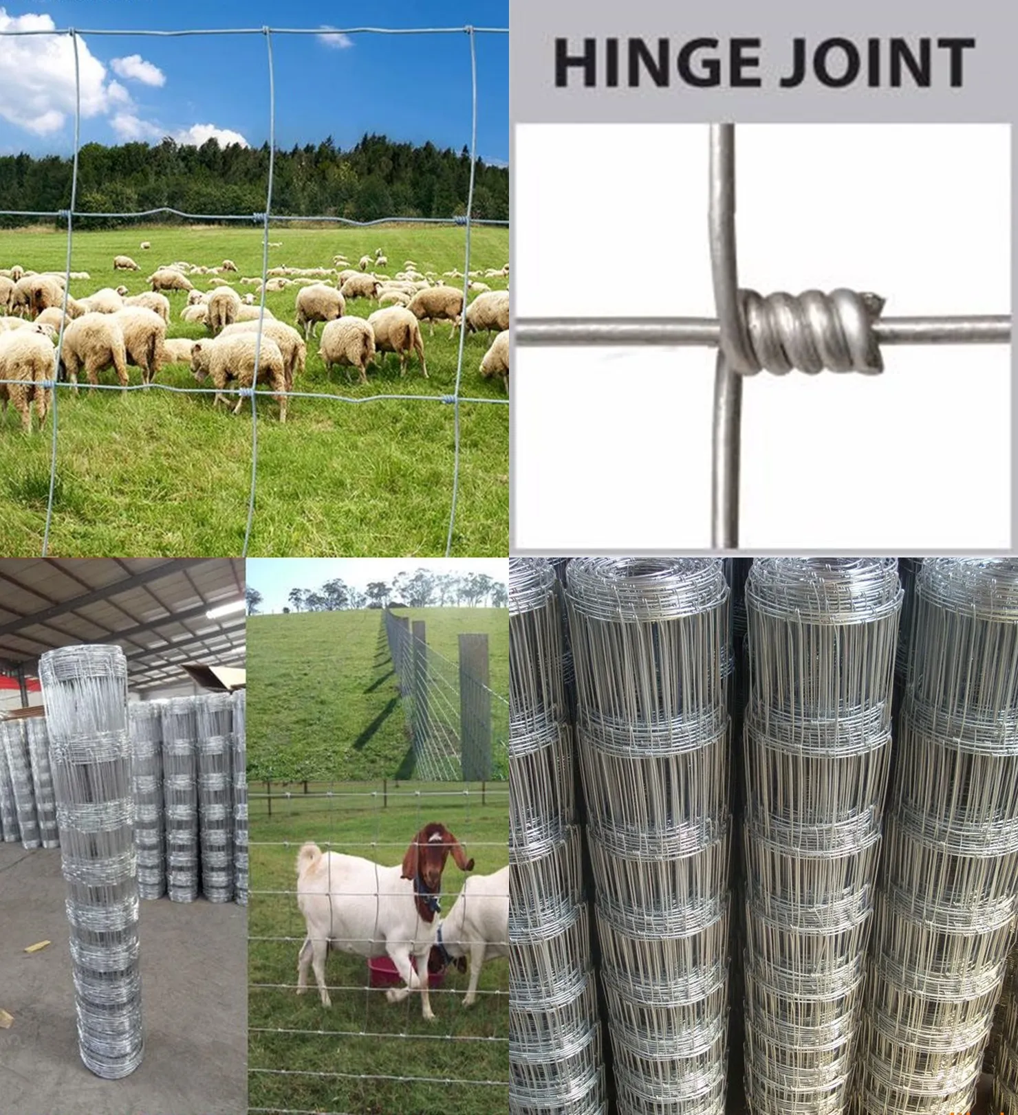 Choosing the Right Wire Mesh Products