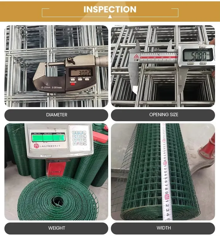 Galvanized Welded Wire Mesh for Sale