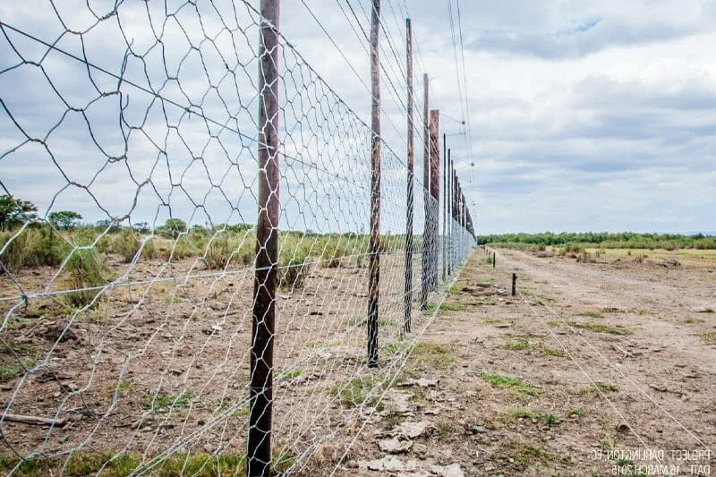 Reliable Steel Wire Mesh Fencing Solutions