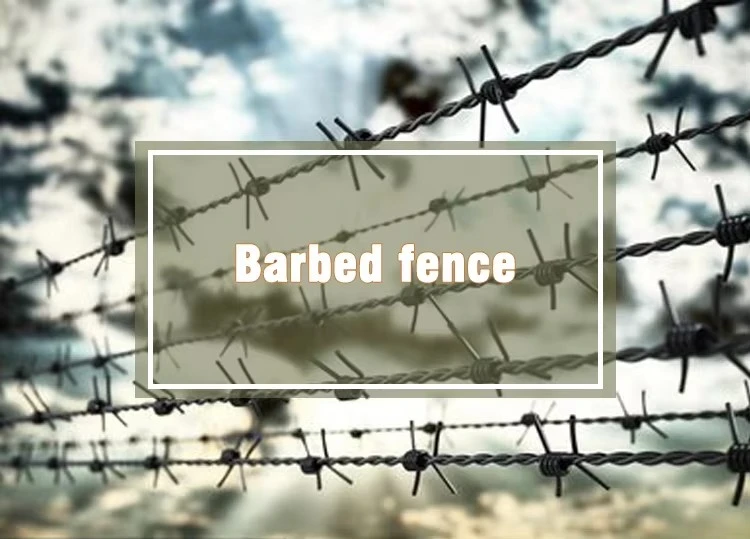 Secure Your Property with Premium Barbed Wire