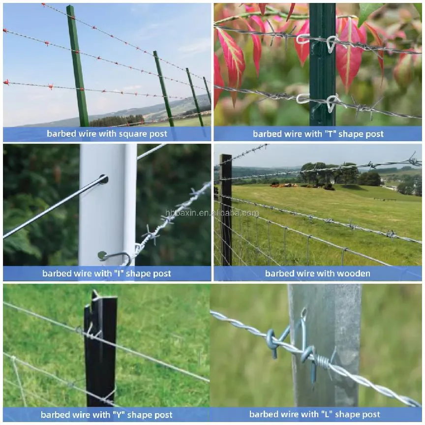 Enhance Security with High-Quality Barbed Wire