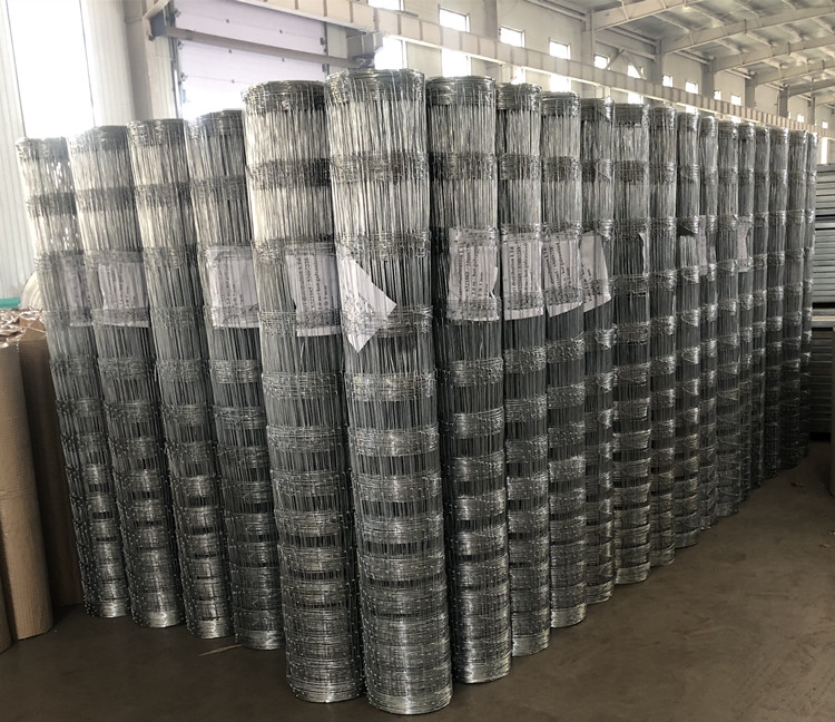 China Hexagonal Gabion Mesh Production Facility for Durable Landscape Solutions