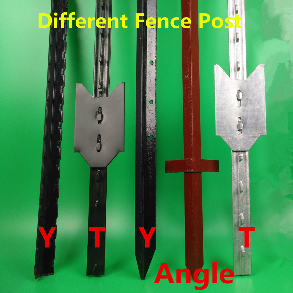 Affordable Options for Purchasing Wire Mesh Fencing Online