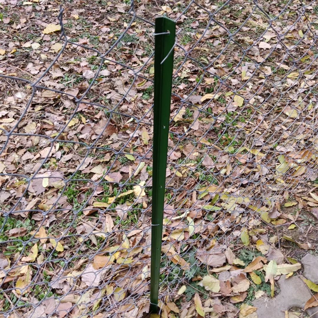 Galvanized Razor Wire for Enhanced Security and Protection Solutions