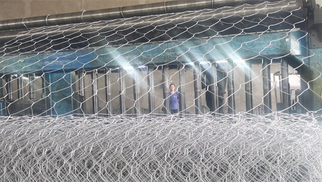 Hexagonal Gabion Mesh Is the Best Solution