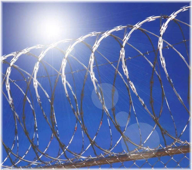 Safety Hazard: Potential Risks from Razor Barbed Wire