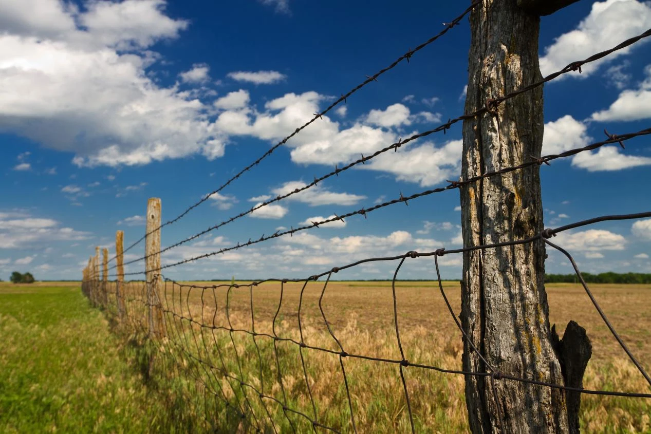Installation and Usage Precautions for Barbed Wire