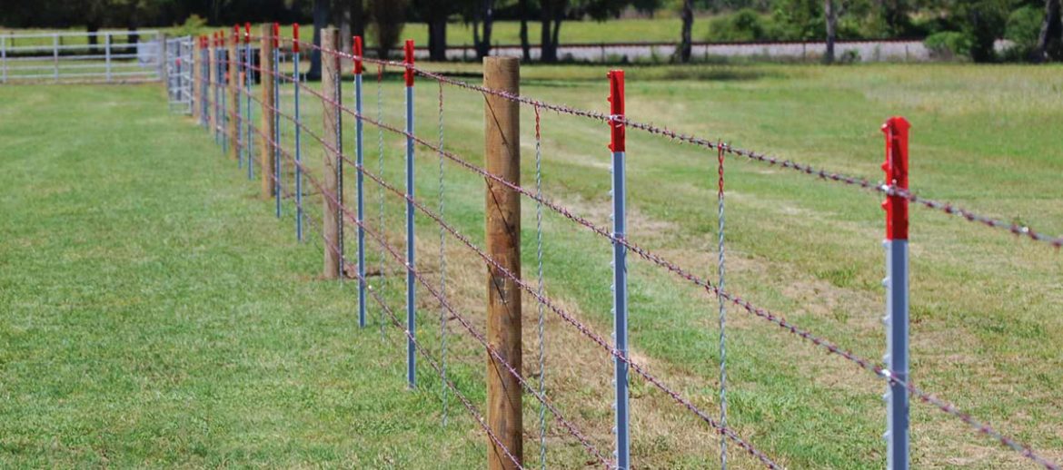 High-Quality 1/2 Inch Hexagonal Wire Mesh for Secure Fencing and Versatile Applications