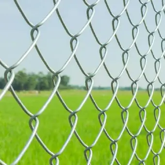 Reinforcing Security: Choosing the Right Welded Mesh Fencing Suppliers