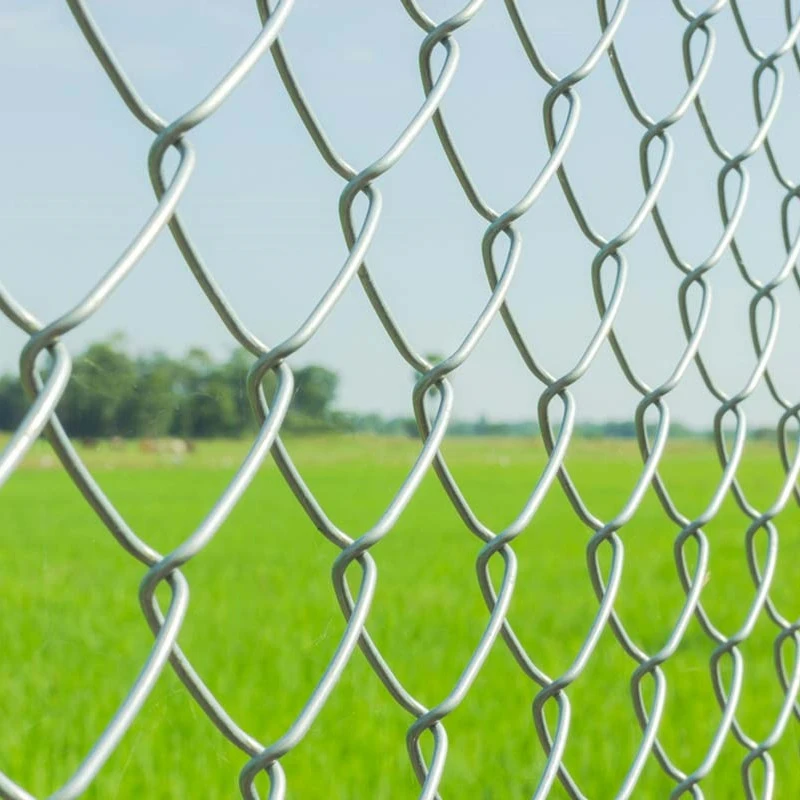 Installation and Maintenance of Chain Link Wire Mesh Fence