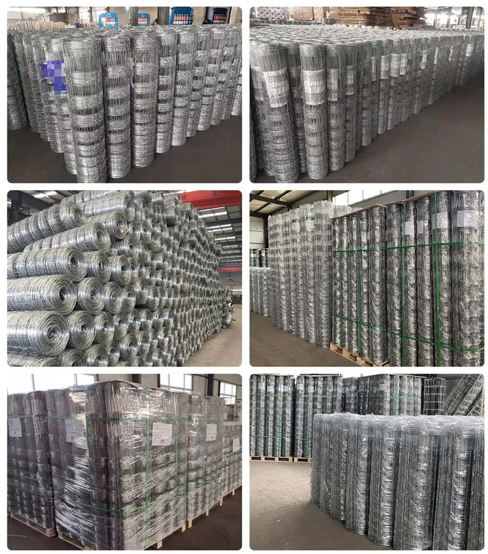Wholesale Field Fencing