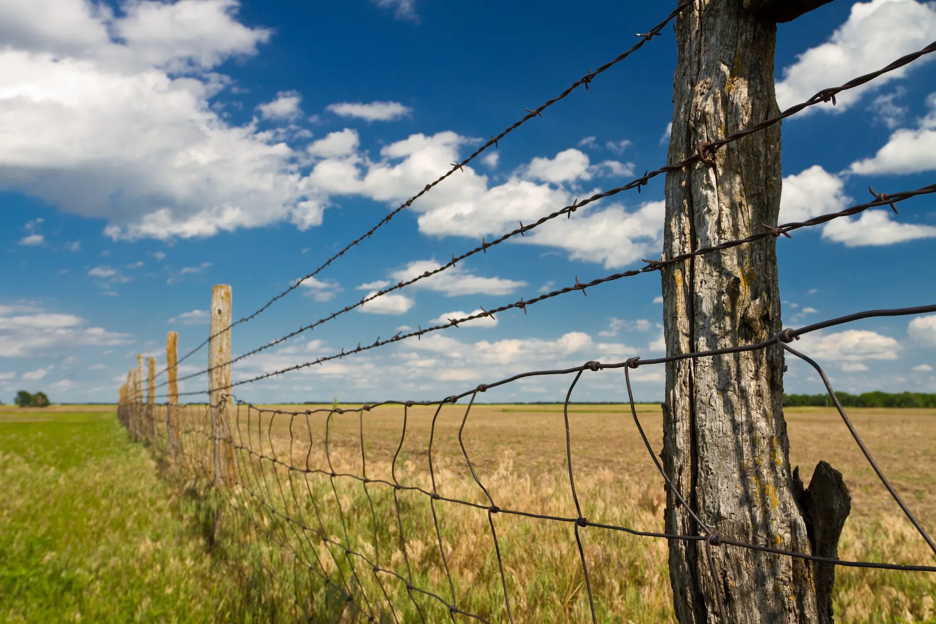 Reliable Barbed Wire Solutions