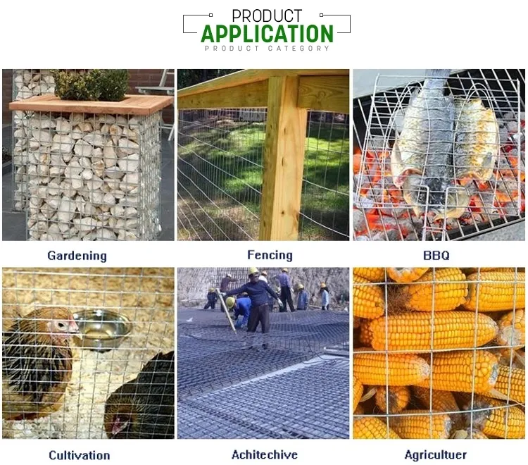 Elevate Your Projects with Durable Welded Wire Mesh Panels