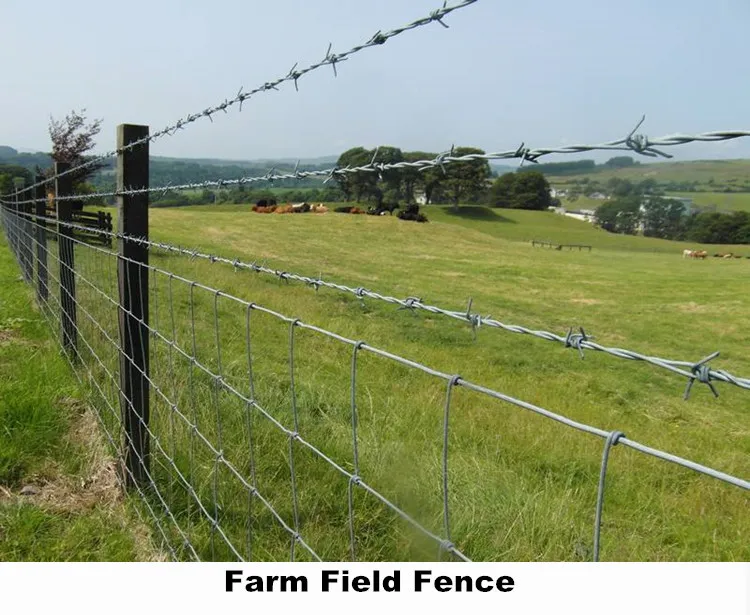 Top Concertina Razor Wire Options for Enhanced Security and Safety