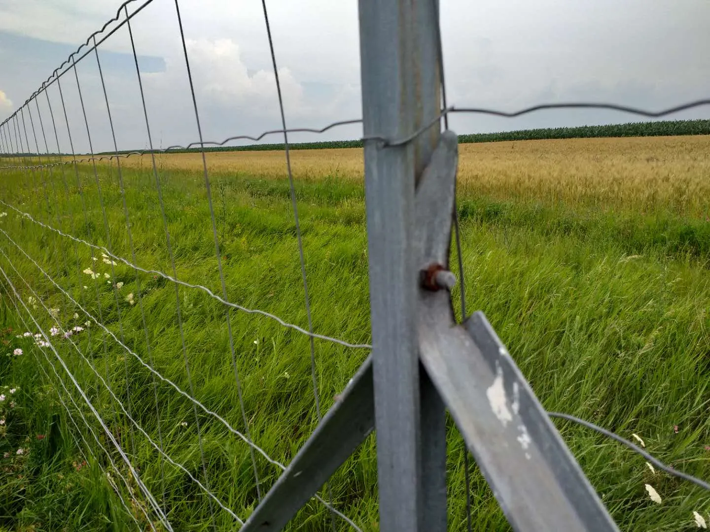 best hot sale chain link fence