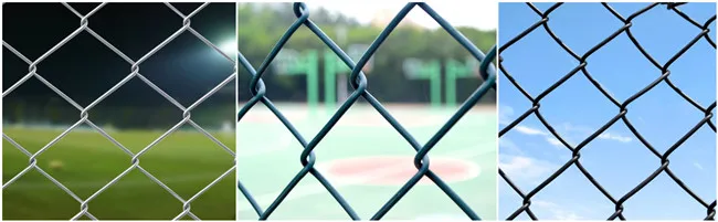 Explore Our Versatile Wire Mesh Products