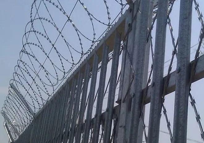 Xingzhi Wire Mesh Fence