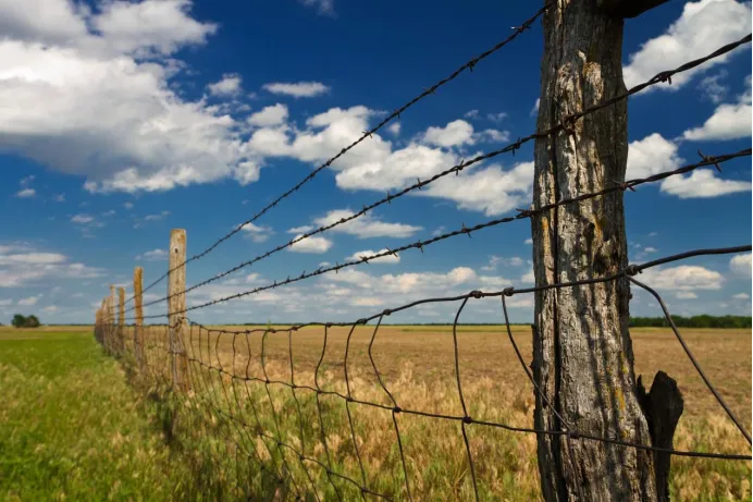 Installation and Usage Precautions for Barbed Wire