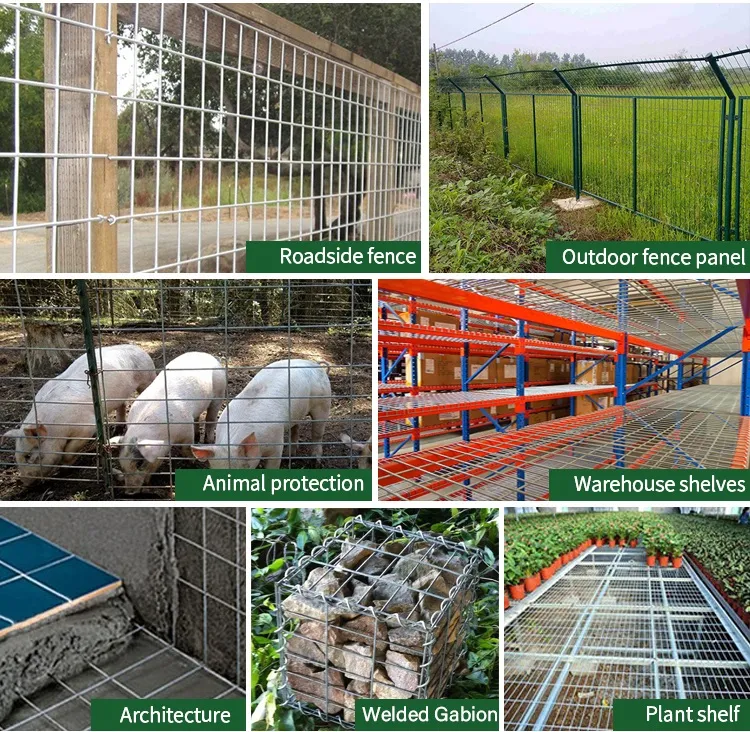 High-Quality Galvanized Welded Wire Mesh for Your Projects