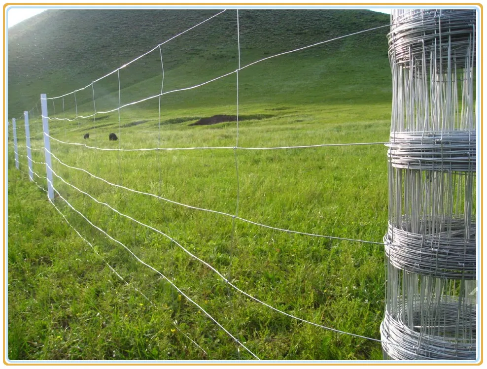 Wire Mesh Products: Considerations for Wholesale Purchases