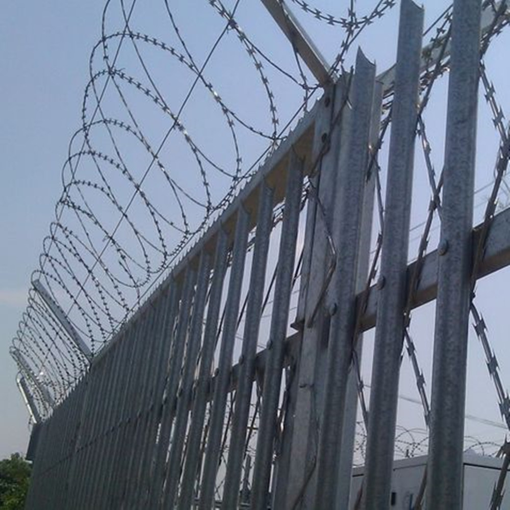 China's Poultry Netting Solutions for Efficient Farming Practices and Bird Protection China's Poultry Netting Solutions for Efficient Farming Practices and Bird Protection