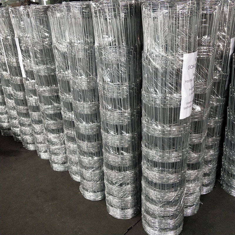 Reliable Supplier of Welded Wire Mesh Fencing Solutions for Various Applications Reliable Supplier of Welded Wire Mesh Fencing Solutions for Various Applications