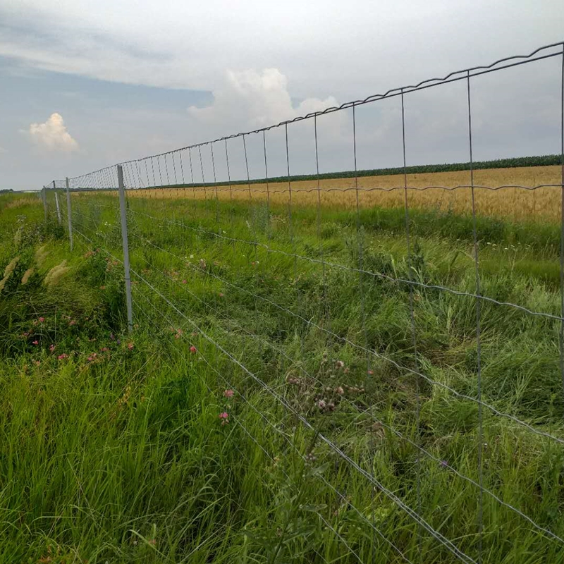 concrete wire mesh factory