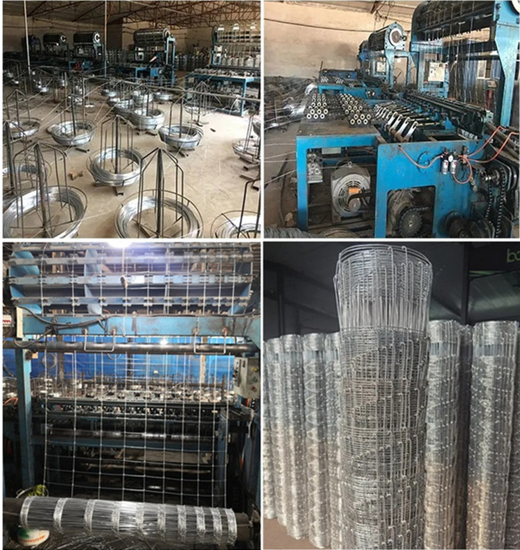 Top Choices for Durable Fiberglass Insect Screens for Your Home