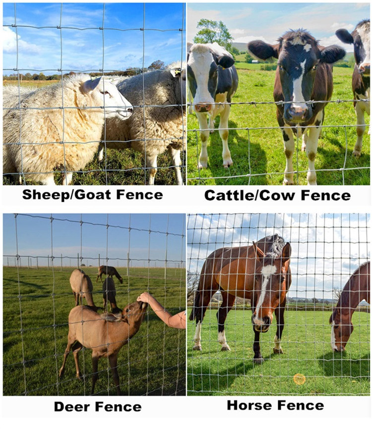 Top Choices for Durable and Affordable Plastic Window Screens for Enhanced Home Comfort