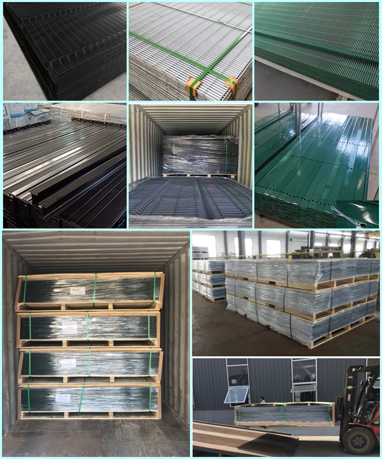 chicken wire service