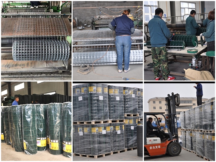 Wholesale Chain Link Fence Suppliers for Durable Border Solutions and Quality Manufacturing