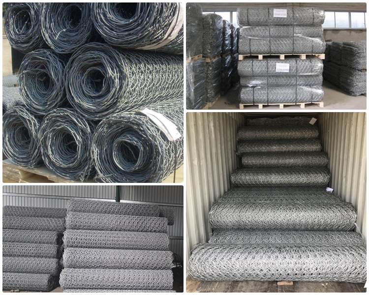Custom Galvanized Welded Wire Mesh Solutions for Various Applications