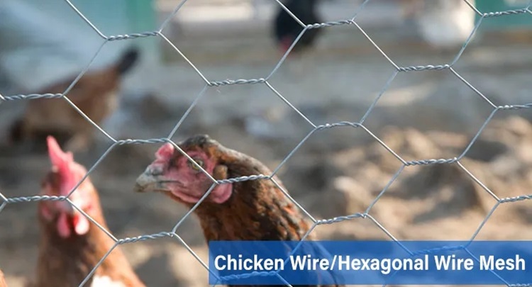 Top Iron Fence Contractors for Quality and Durability Solutions in Your Area