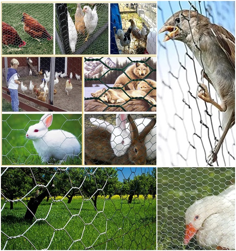 Hexagonal Wire Mesh Pricing and Manufacturer Information for Your Needs