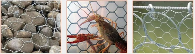 Exportador de mallas de piedra para gabiones de alta calidad