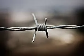 Top Manufacturer of High-Quality Fixed Knot Fencing Nets for Reliable Agricultural Solutions
