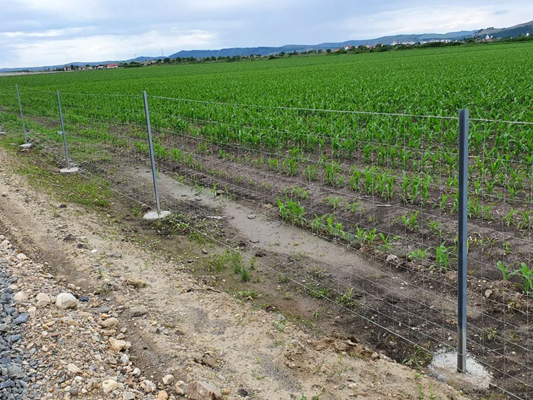 Top 10 CBT-65/60 Razor Barb Wire Options for Secure Fencing Solutions