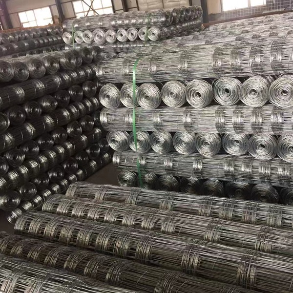 Durable Galvanized Welded Wire Fence Panels for Enhanced Security and Versatile Applications