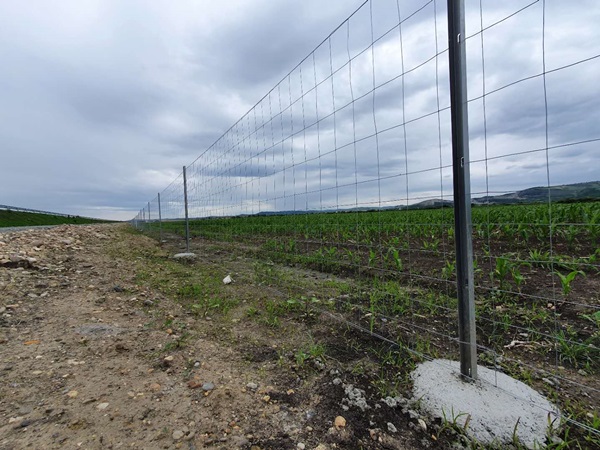 odm sport chain link fence