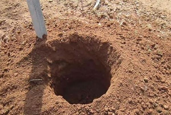 Leading Manufacturers of Curved Mesh Panels for Various Applications