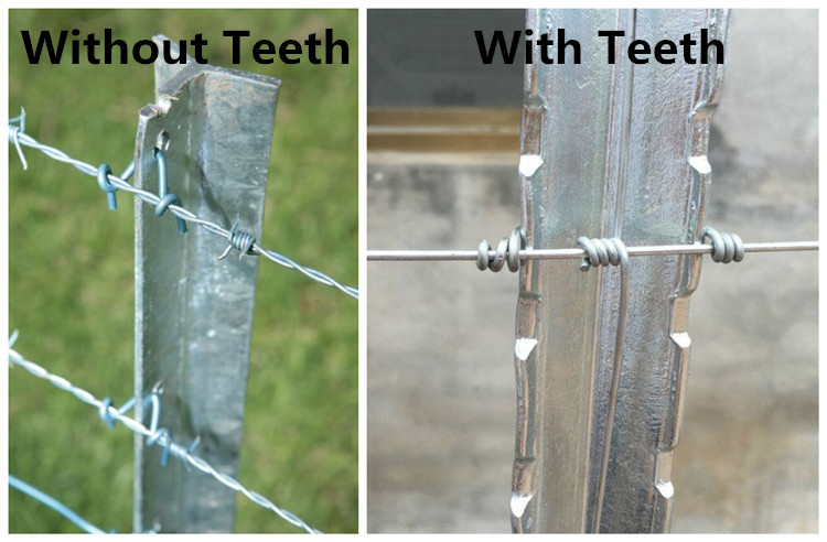 razor wire concertina service