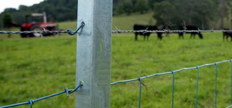 PVC Coated Hexagonal Wire Mesh Manufacturers and Their Products