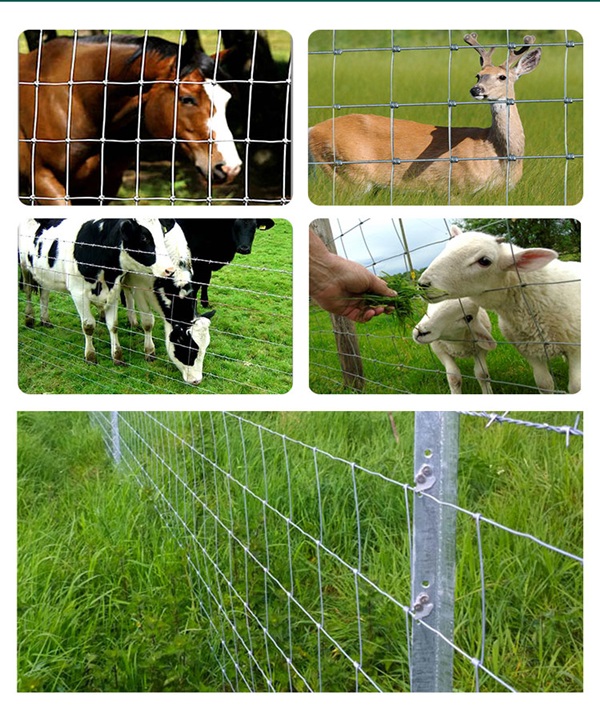 bedste udvidet mesh rulle