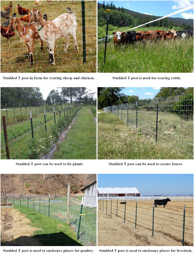 Top Manufacturer for High-Quality 2x1x1 Gabions in the Market Today