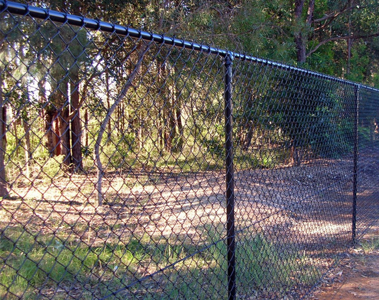 1 inch galvanized welded wire mesh suppliers