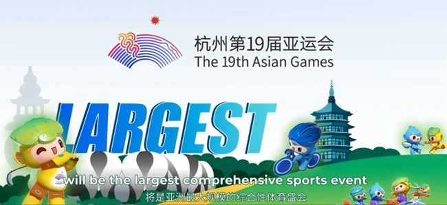 Affordable Chain Link Fence Supplier for Quality and Durability Options